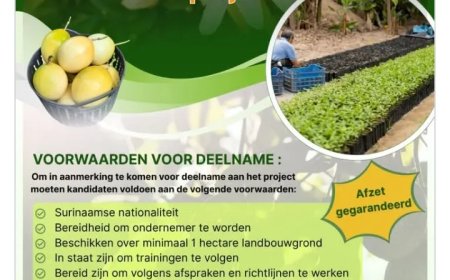 Markoesa Outgrowers Project biedt perspectief én zekerheid aan landbouwers