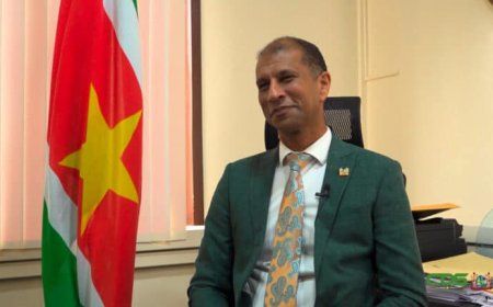 Brunings: ‘Verantwoorde goudwinning vereist een brede aanpak’