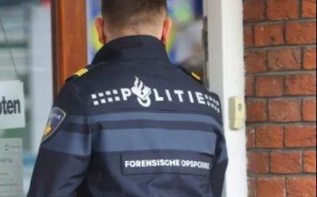 Vijftig babylichamen ontdekt op terrein