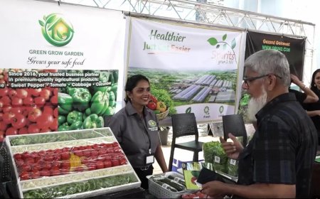 Surge-ondernemers willen bijdrage leveren aan voedselzekerheid