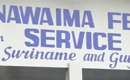 Column: Corruptie als systeem: wie houdt nog toezicht op de toezichthouders?