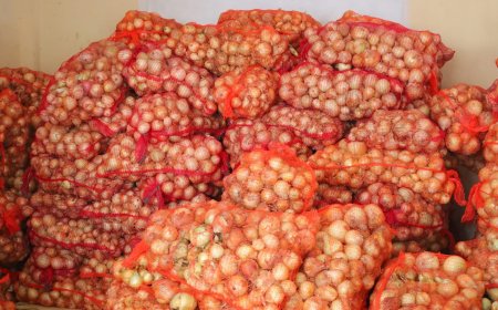 Guyana wil uienteelt fors uitbreiden na succesvolle oogst van 2600 zakken