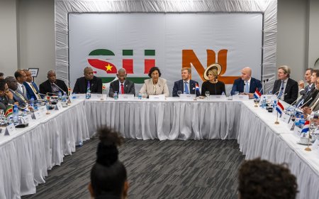 De koning als breekijzer