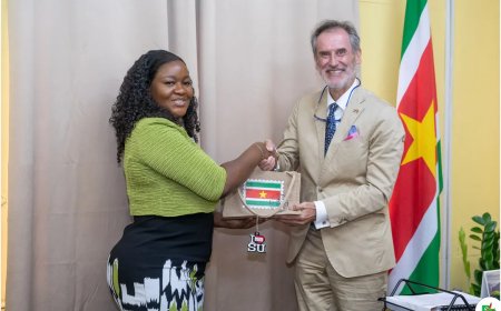 Nederlandse ambassadeur bespreekt regionale ontwikkeling met RO