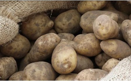 Aardappeloverschot in Nederland leidt tot nationale campagne