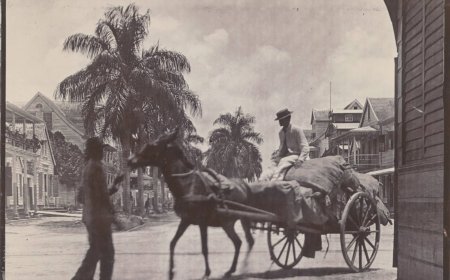 COLUMN – RIDING THE DONKEY