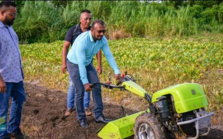 Landbouw onder druk, maar ruggengraat van Suriname