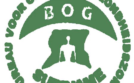 BOG intensiveert chikungunyabestrijding in Nickerie