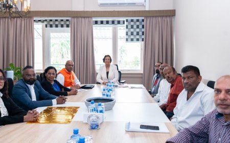 Arya Diwaker kaart knelpunten aan bij president Simons