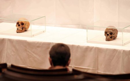 Duitse stichting wil honderden schedels uit koloniale tijd teruggeven
