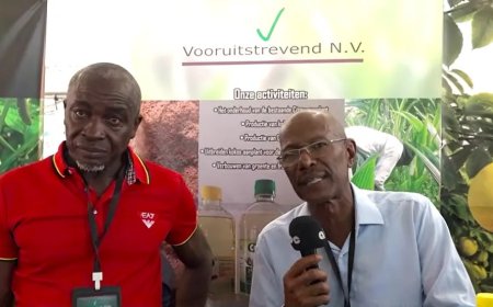 Ondernemers presenteren resultaten van het SURGE-programma