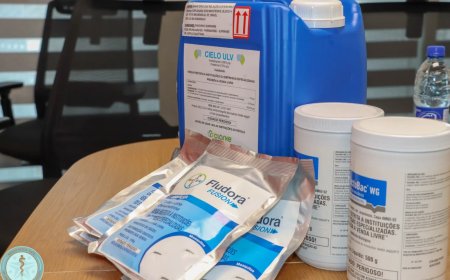 Regionale hulp versterkt chikungunya-aanpak