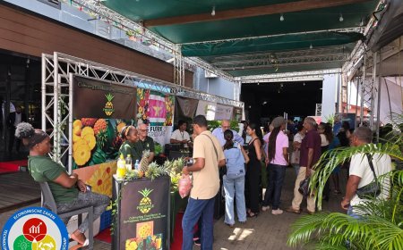 SURGE zet mkmo’s in de spotlight