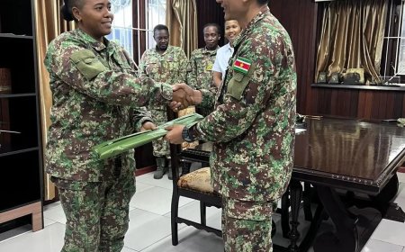 Bevelhebber Nationaal Leger rondt inspecties af voorafgaand aan commando-overdracht