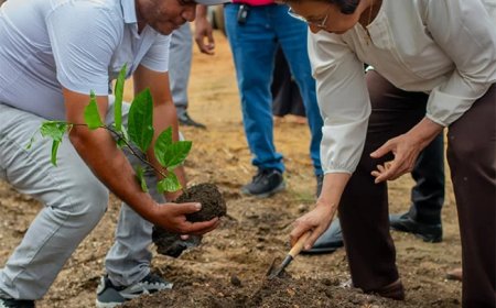 Markoesaproject moet impuls geven aan nationale landbouwproductie