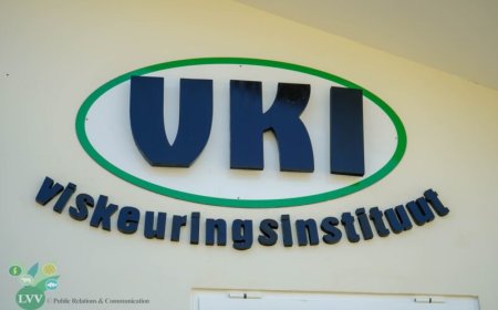 Ernstig bestuursconflict bij Viskeuringsinstituut leidt tot ontslag directeur