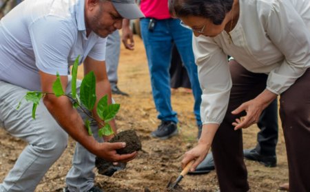 LVV lanceert Markoesa Outgrowers Project in Groningen