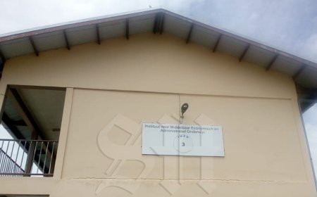 Leerkrachten Imeao 3 zeggen massaal lidmaatschap BvL op