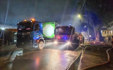 BLUSSEN ZONDER BENODIGD MATERIEEL