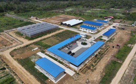 Suriname en China slaan handen ineen voor modernisering landbouwsector