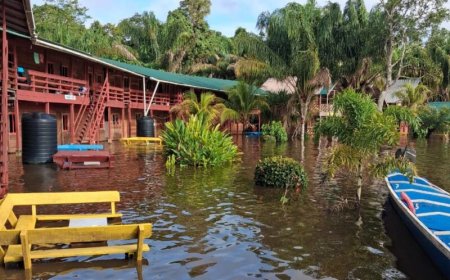 Rivier en kreken Boven-Suriname buiten hun oevers getreden
