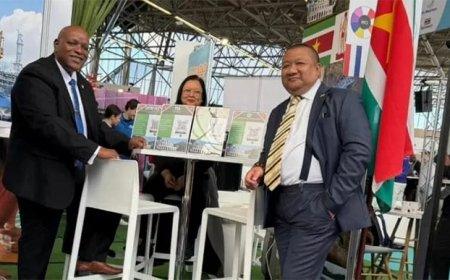 Panka: Succesvolle carrièrebeurs 2026 met focus op diaspora en talent