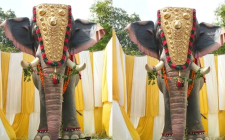 Levensgrote mechanische olifanten vervangen gevangen gehouden dieren in Kerala 