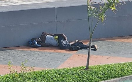 Regering pakt zwerversproblematiek aan