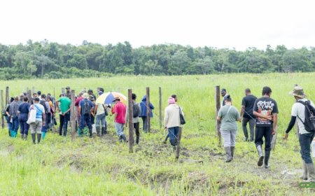Markoesatelers krijgen praktijktraining in Saramacca na lancering Outgrowers-project