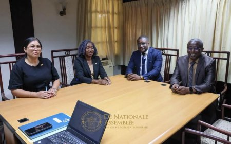 Nieuwe regels trekken elektrische voertuigen gelijk met traditioneel verkeer