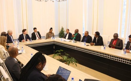 Visumprobleem en braindrain centraal bij overleg Tweede Kamer en DNA