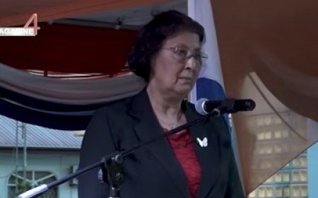 President Simons vraagt wederom aandacht voor visumbeleid Nederland-Suriname