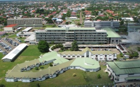 DNA-leden bezorgd: Urologie behandelingen AZP onder druk