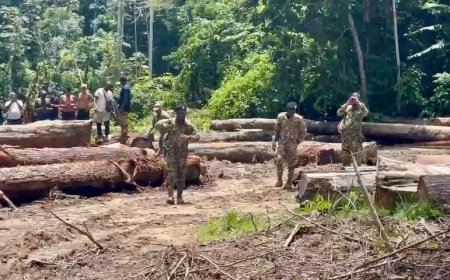 Grootschalige zoekactie naar twee vermiste jongemannen in Tibiti-gebied