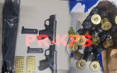 26-jarige Braziliaan te Stolkertsijver opgepakt