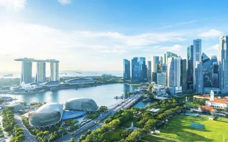 Dubai dromen en Singapore praatjes gaan ons niet redden