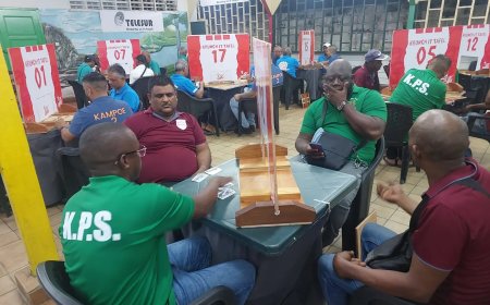 PTV verovert derde plek na winst op Palm Boys