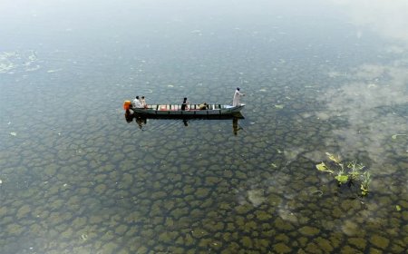 Regen brengt leven terug in de Irakese moerassen na jaren van droogte