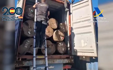 Spanje onderschept 120 kilo cocaïne uit Suriname in containers met houtblokken