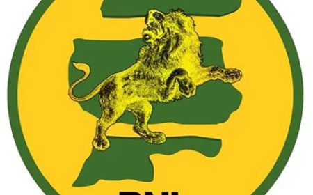 De Nieuwe Leeuw presenteert voorstel voor wet bestuur en toezicht rechtspersonen