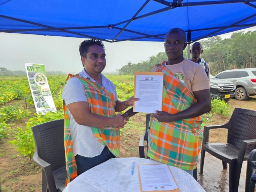 Succesvol proefproject sojateelt in Phedra