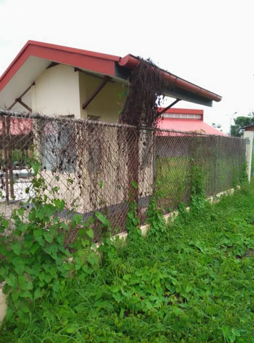 Praktijkcentrum te Apoera staat onder hoog wied