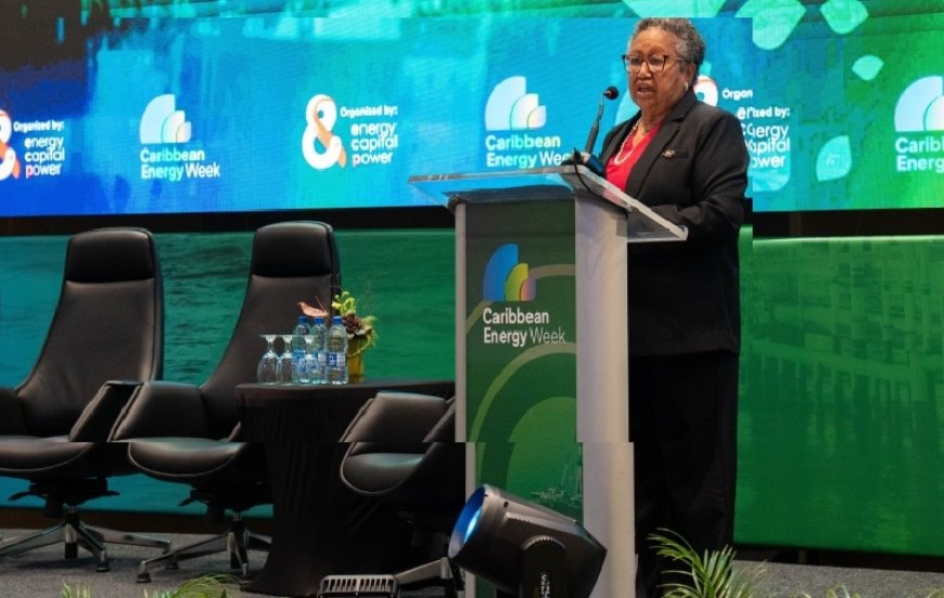 Secretaris-generaal Caricom: ‘Investeringen zijn de sleutel tot het Caribische energiepotenti