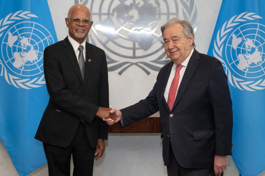 Ambassadeur Kerpens officieel VN-vertegenwoordiger