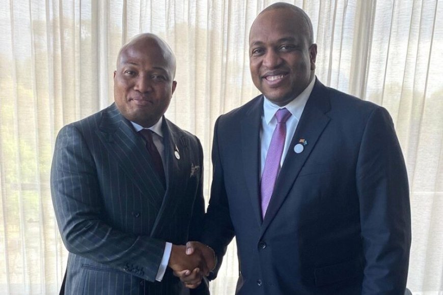 BESCHOUWING — Wat heeft Suriname aan Ghana?