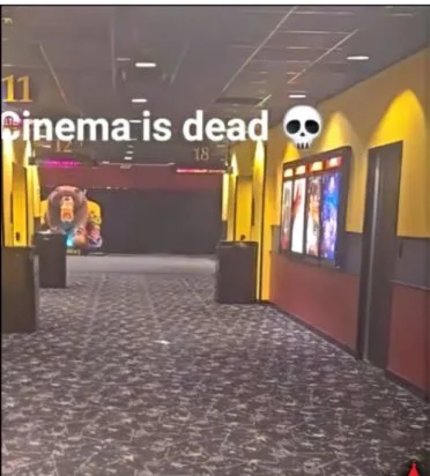 Bioscopen verliezen terrein door streaming en hoge kosten