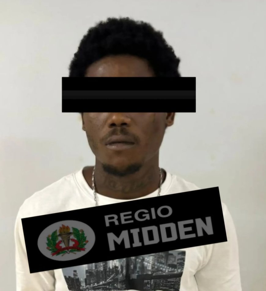 Voortvluchtige verdachte ‘RAVO’ van gewapende berovingen aangehouden