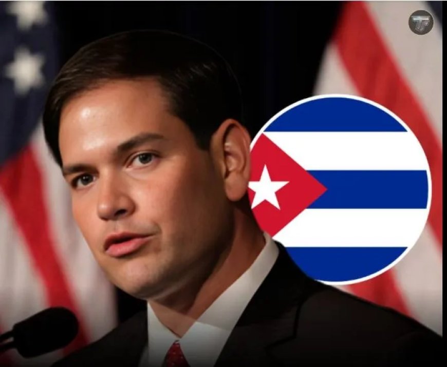 Kritiek op rubio om plan tegen geboorterecht