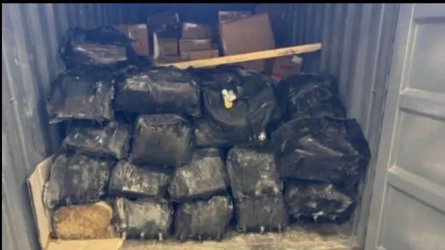 Grote cocaïnevangst in rotterdamse haven