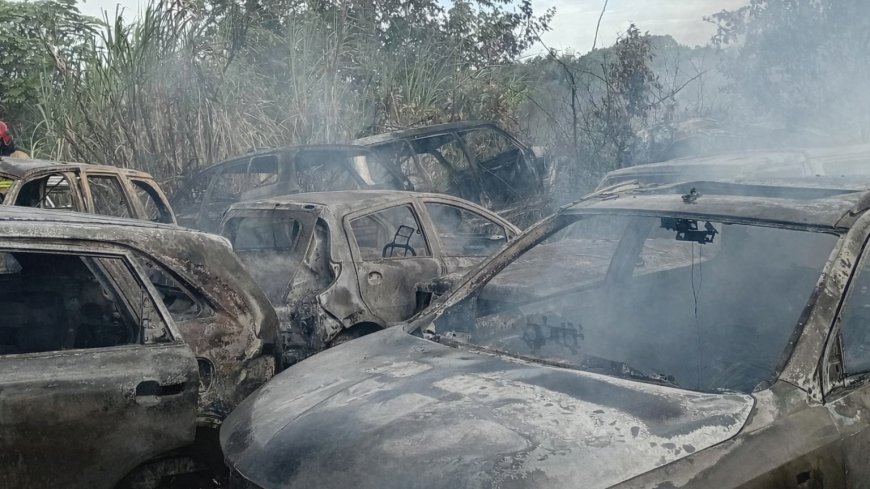 Grasbrand slaat over naar erf: meerdere voertuigen uitgebrand aan Commissaris Weythingweg